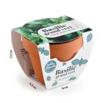 Radis et Capucine - Mini kit Basilic Grand Vert - Terre Cuite - 6 cm - face recto